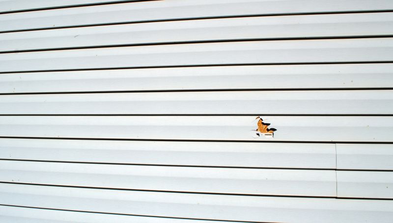 Damaged Vinyl Siding